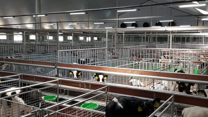 广州独立站搭建与运营：揭秘独立站的崛起之路